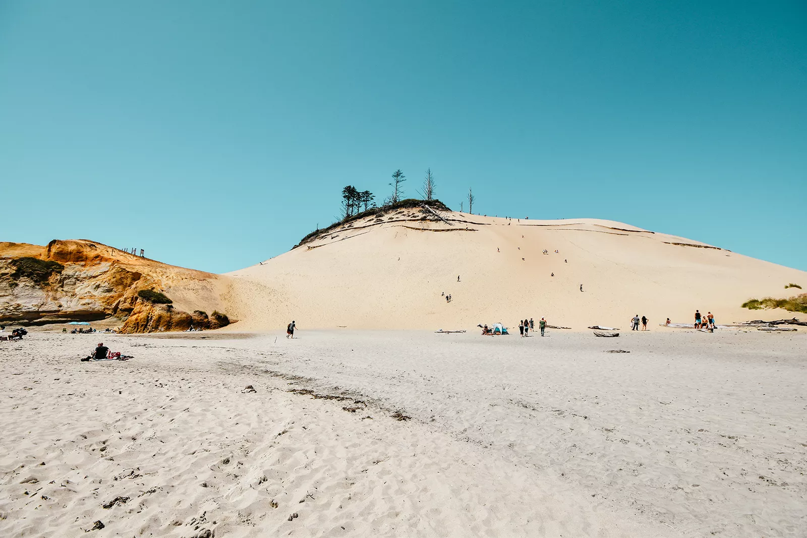 Cape Kiwanda State Natural Area Sand Dunes Near A Beach 1600