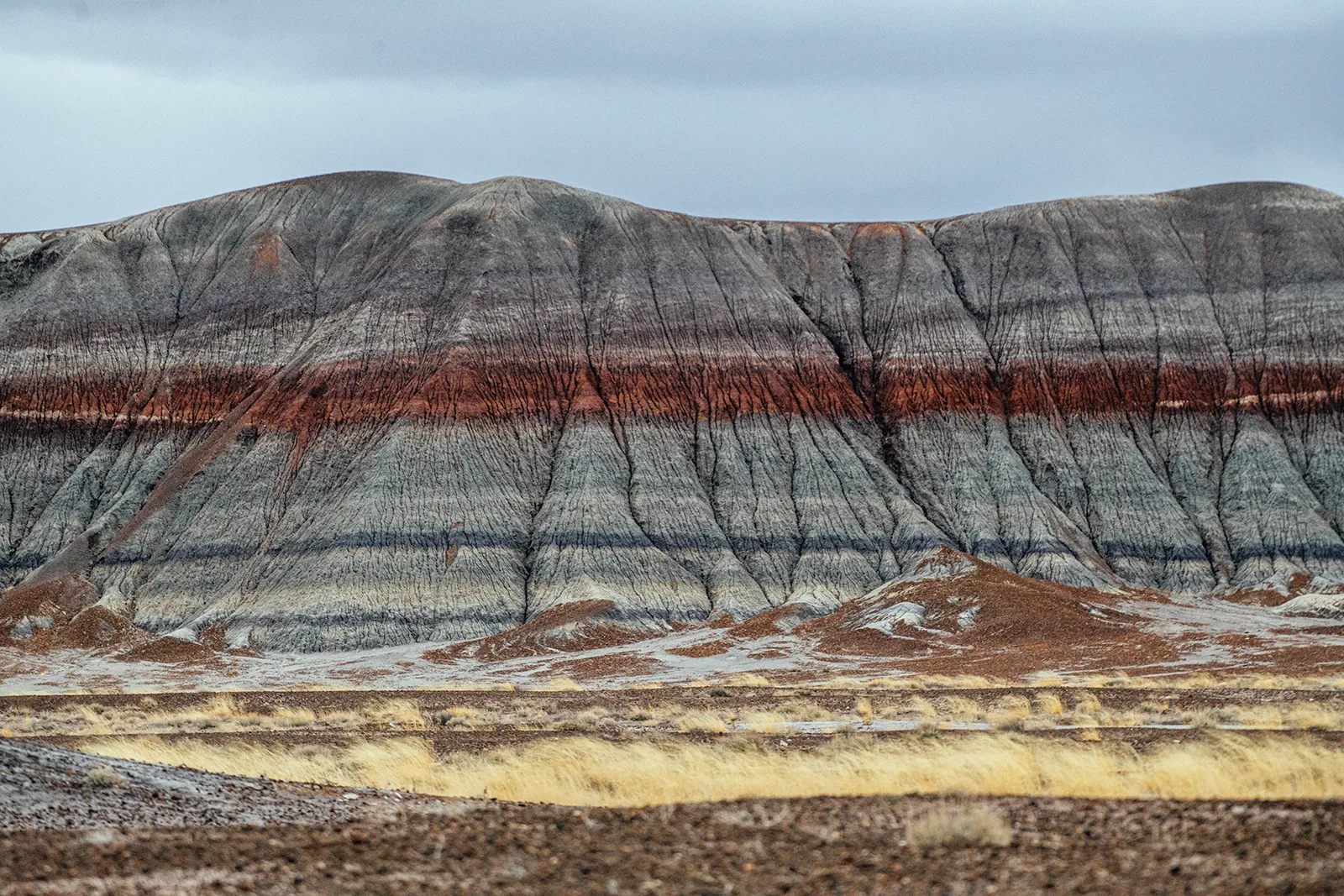 Petrified Forest National Park A Mountain 1600