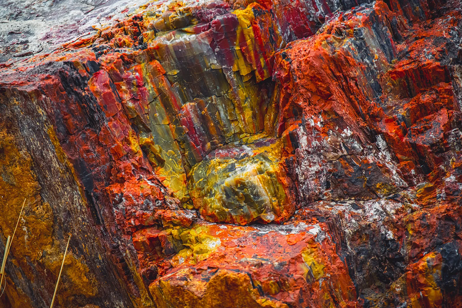 Petrified Forest National Park Abstract 35 1600