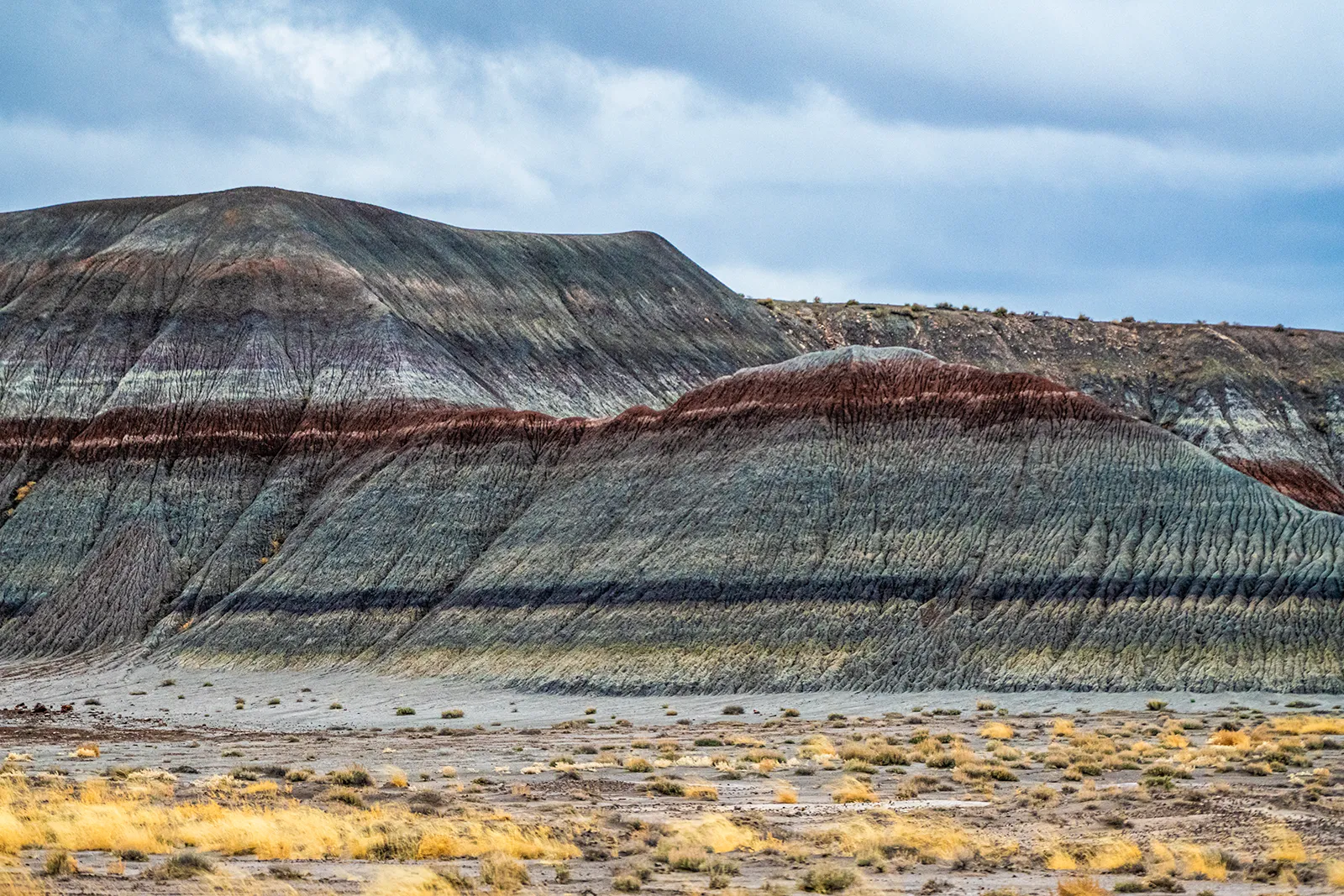 Petrified Forest National Park Brown Mountains 1600