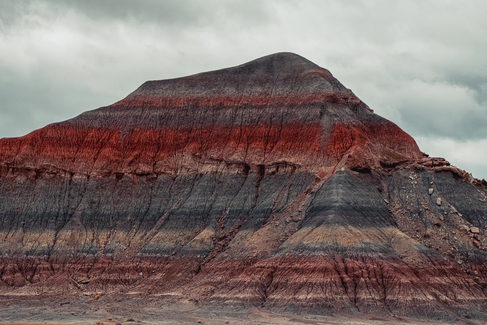 Petrified Forest National Park Multicolor Mountain 1600