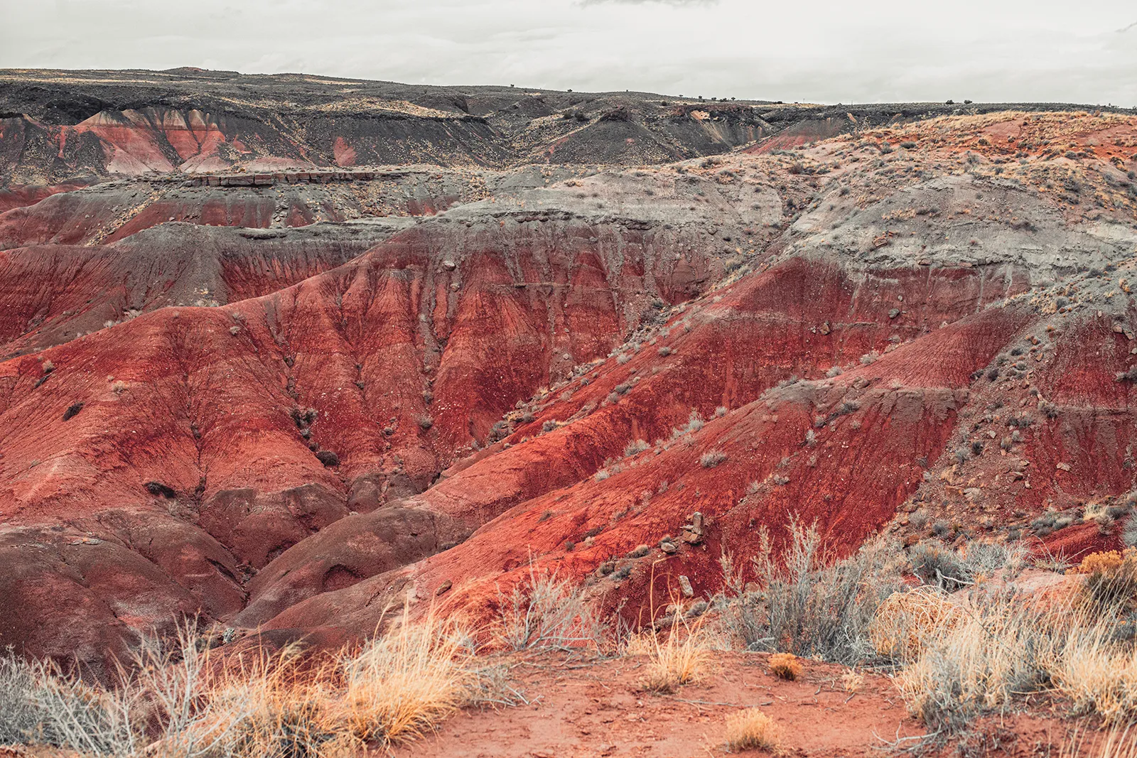 Petrified Forest National Park Red Mountains 1600