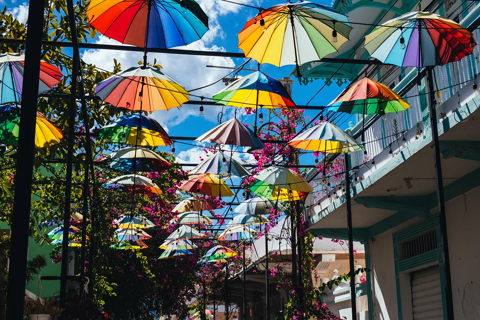Umbrella Street Umbrellas Over A Street 1600