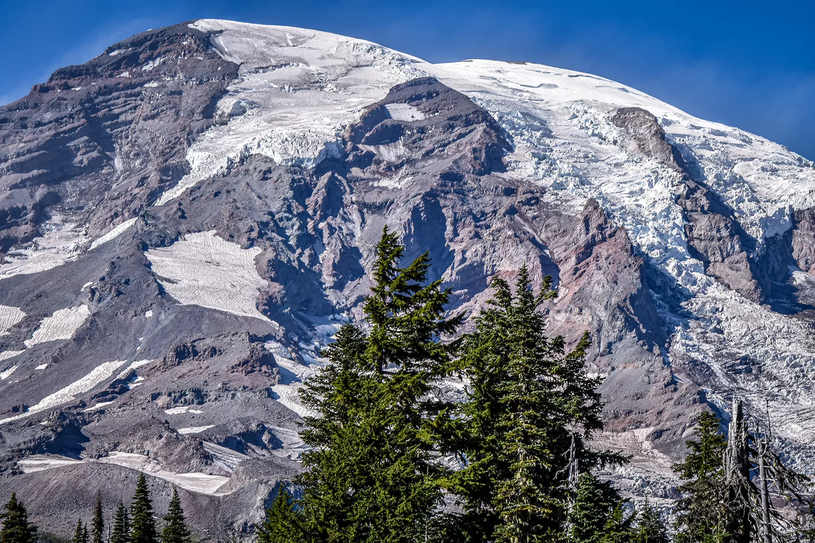 Mount Rainer National Park Blue And White Mountain 1600