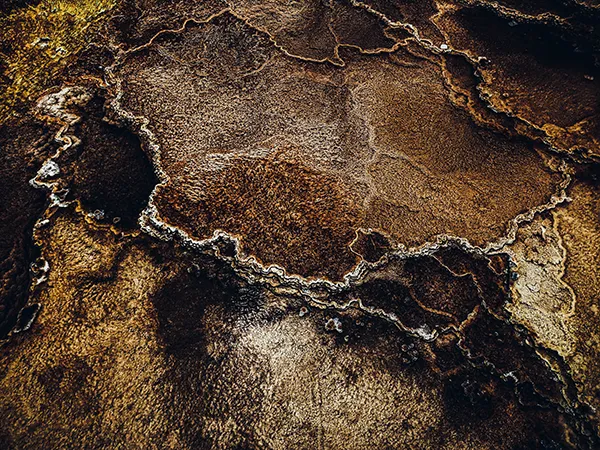 Yellowstone National Park Brown Abstract 600