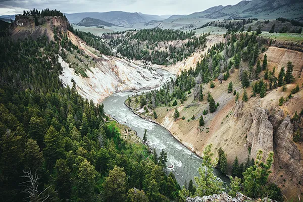 Yellowstone National Park Valley River 600