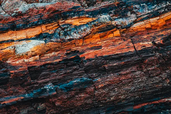 Petrified Forest National Park Abstract 22 600