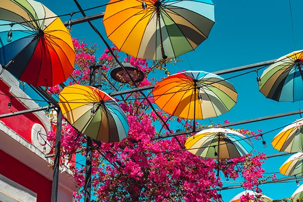 Umbrella Street Bright Colors 600