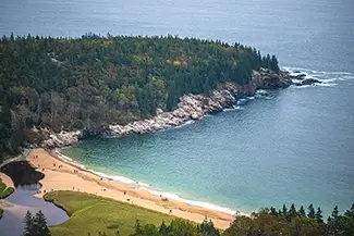 Acadia National Park Coastal Treeline View, Maine