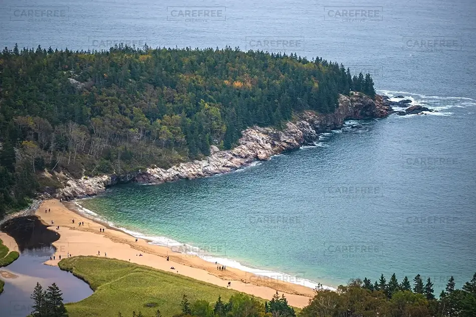 Acadia National Park Coastal Treeline View, Maine · United States