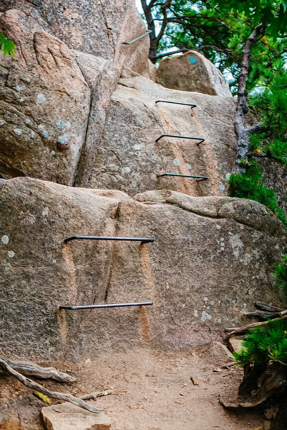 Acadia National Park Ancient Granite Stairway, Maine · United States