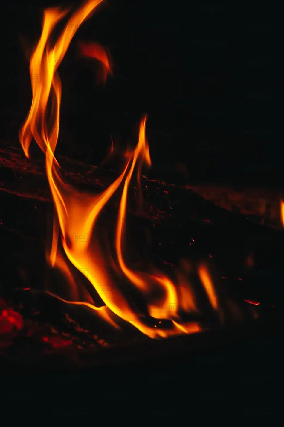 Waltzing Flames, Maine · United States