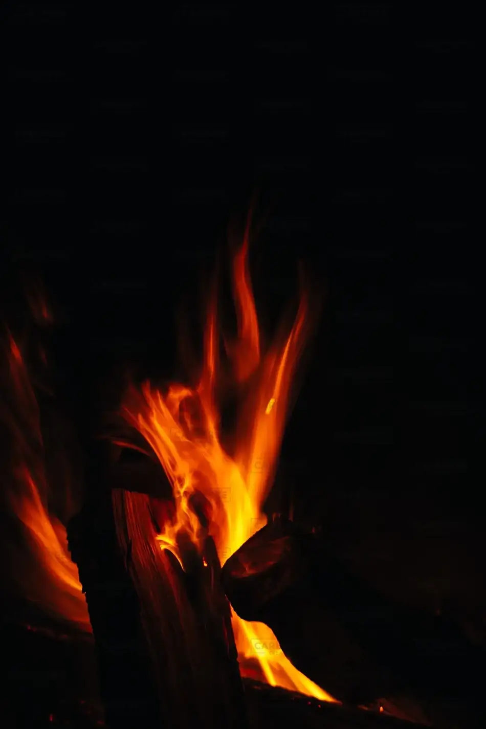 Serenade of Flames, Maine · United States