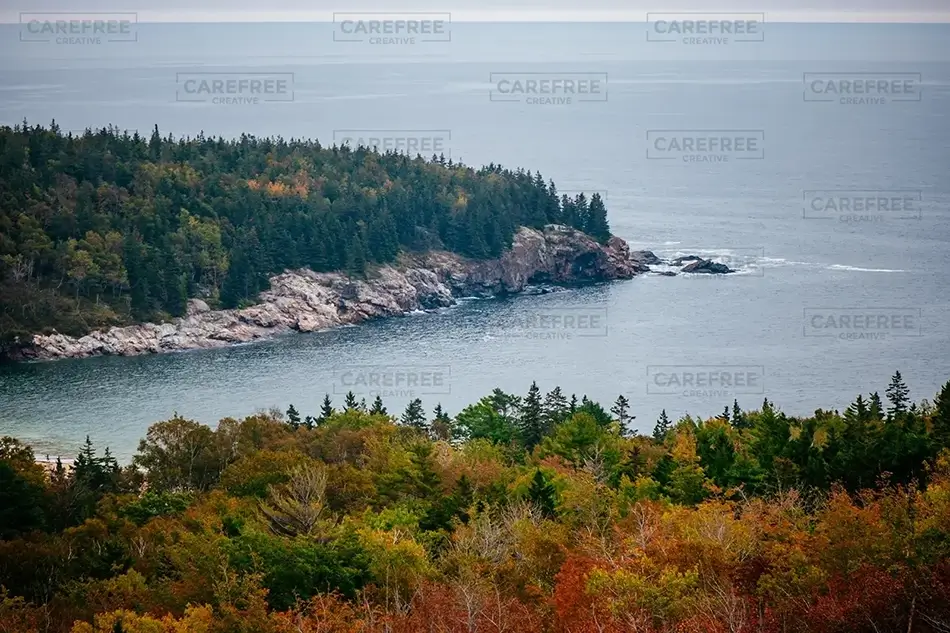 Acadia National Park Overcast Coastal Quietude, Maine · United States