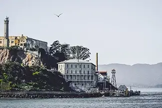 Alcatraz Island Coastal View With Soaring Bird, San Francisco, California