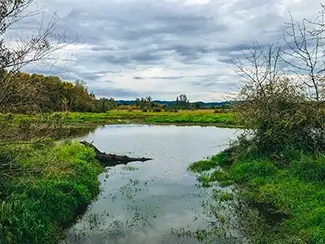 Ankeny National Wildlife Refuge Peaceful River Bend, Jefferson, Oregon