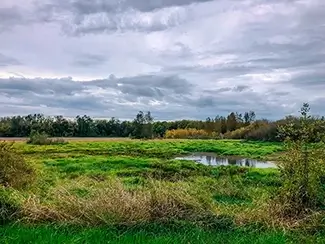 Ankeny National Wildlife Refuge Lush Grassland, Jefferson, Oregon