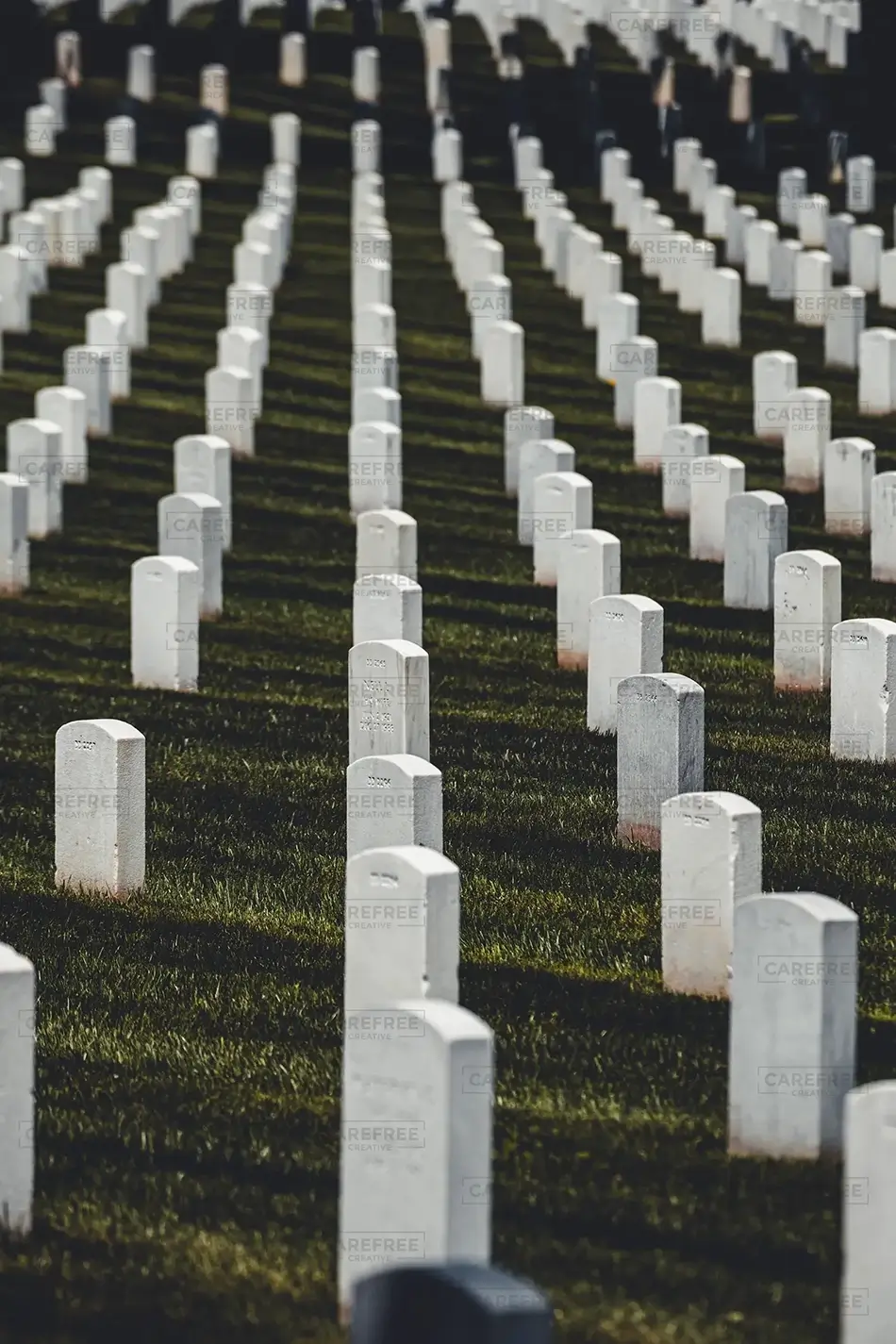 Arlington Cemetery Hillside of Heroes, Arlington, Virginia · United States