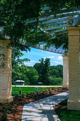 Arlington Cemetery Serene Pergola Walkway, Arlington, Virginia