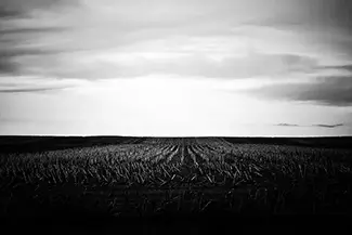 Badlands National Park Monochrome Grain Fields, South Dakota
