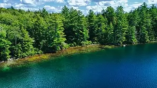Basin Pond Verdant Shoreline, Fayette, Maine