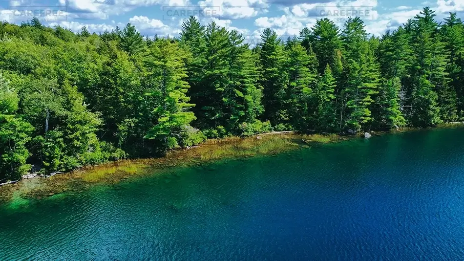 Basin Pond Verdant Shoreline, Fayette, Maine · United States