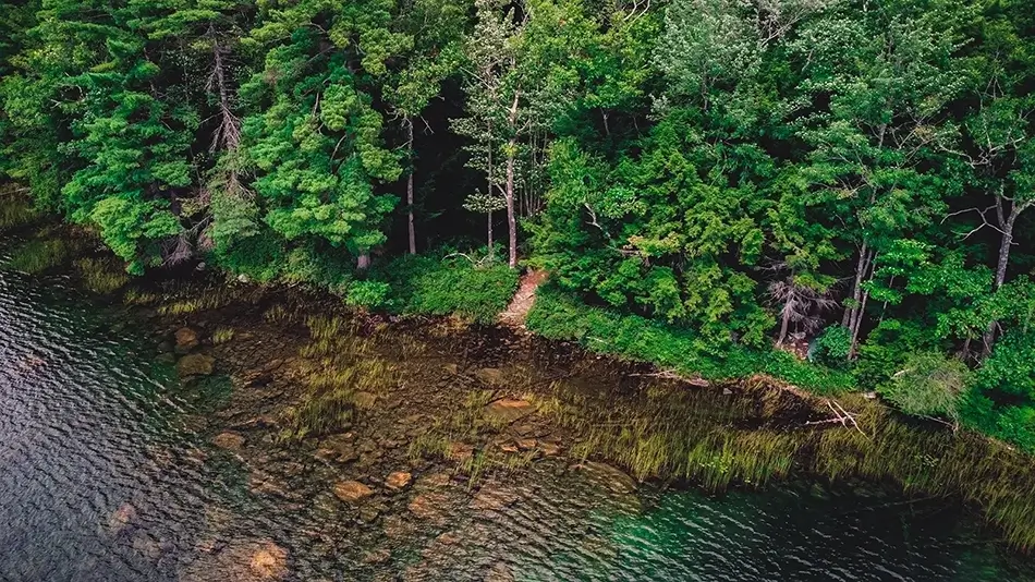 Basin Pond Forest Pathway, Fayette, Maine · United States