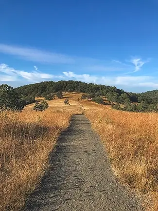 Baskett Slough National Wildlife Refuge Hillside Path, Dallas, Oregon