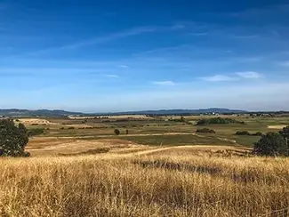 Baskett Slough National Wildlife Refuge Golden Fields Panorama, Dallas, Oregon
