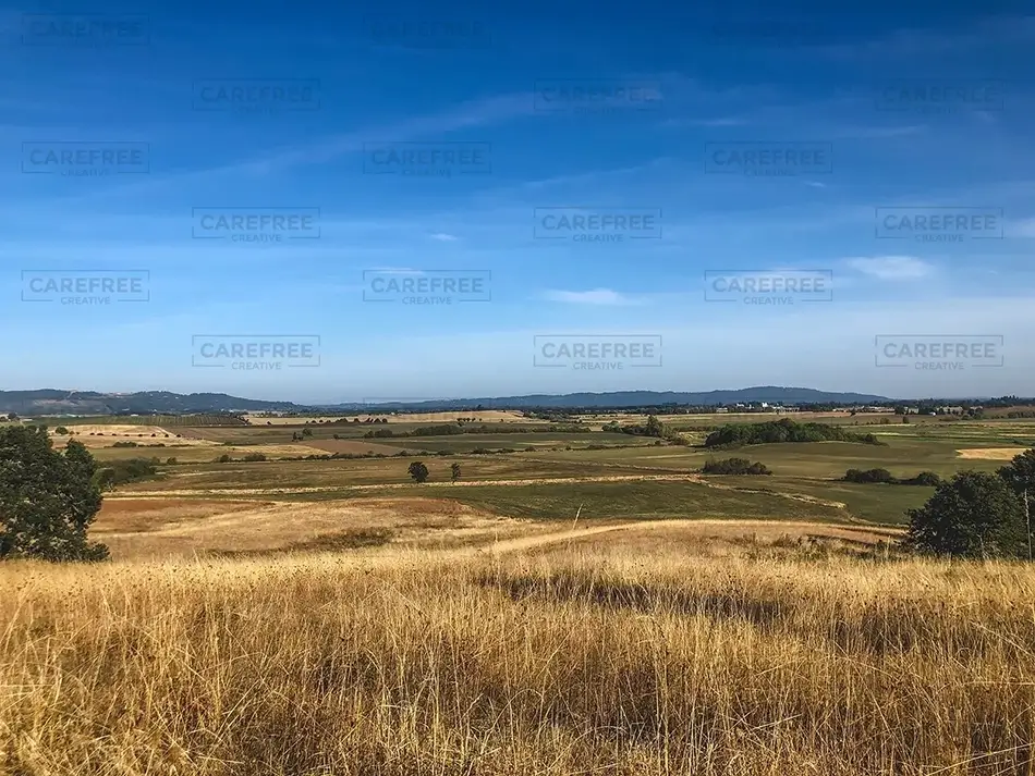 Baskett Slough National Wildlife Refuge Golden Fields Panorama