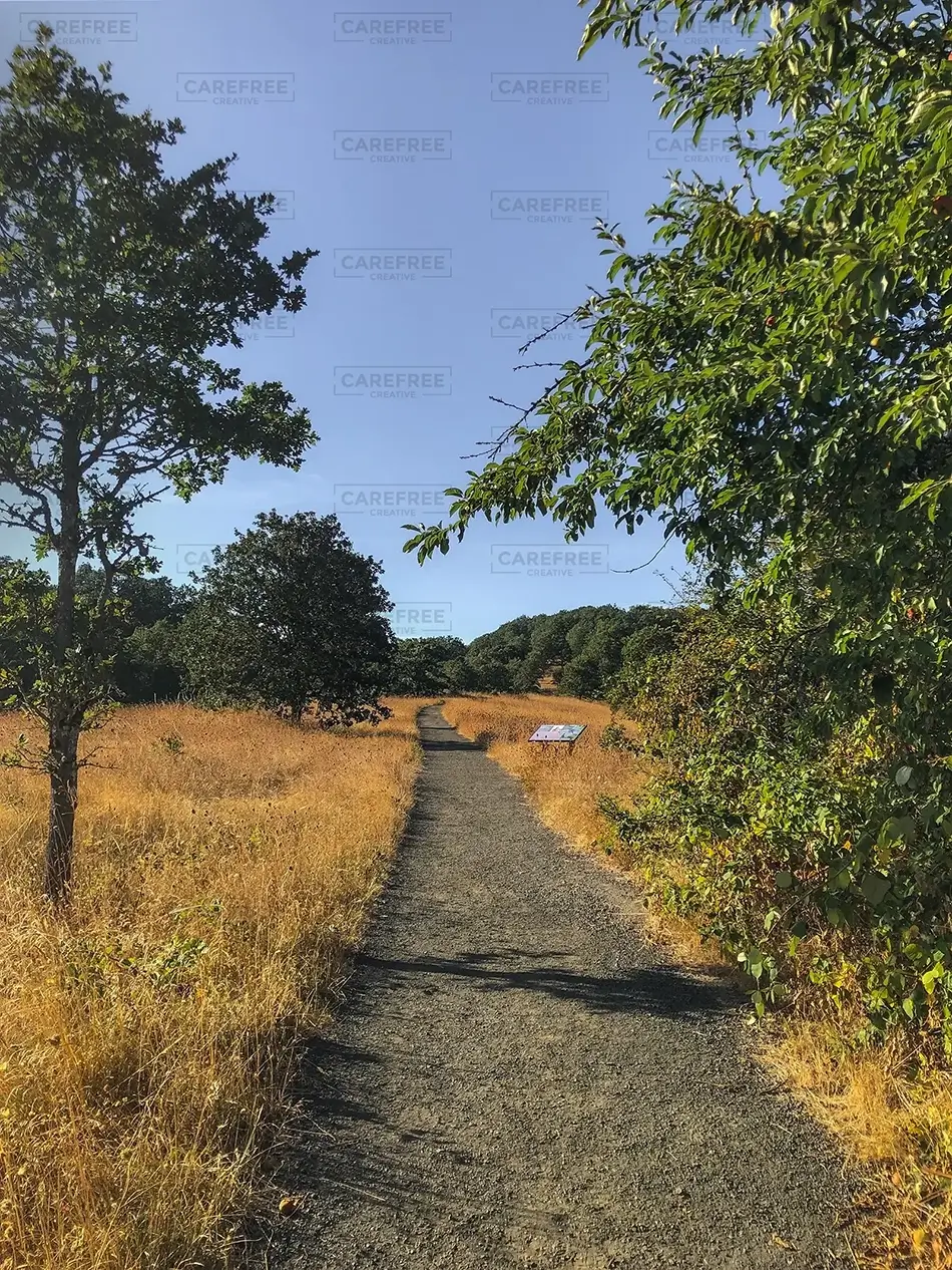 Baskett Slough National Wildlife Refuge Trail through Summer