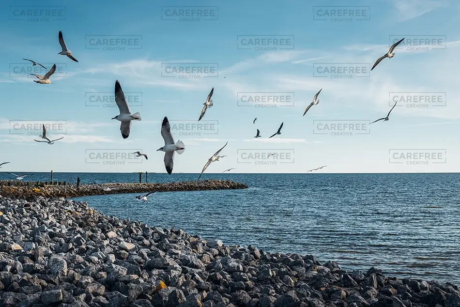 Bay Saint Louis Beach Seagulls Over Rocky Shore