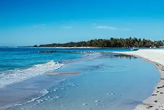 Beer Can Island Peaceful Shoreline Bliss, Longboat Key, Florida