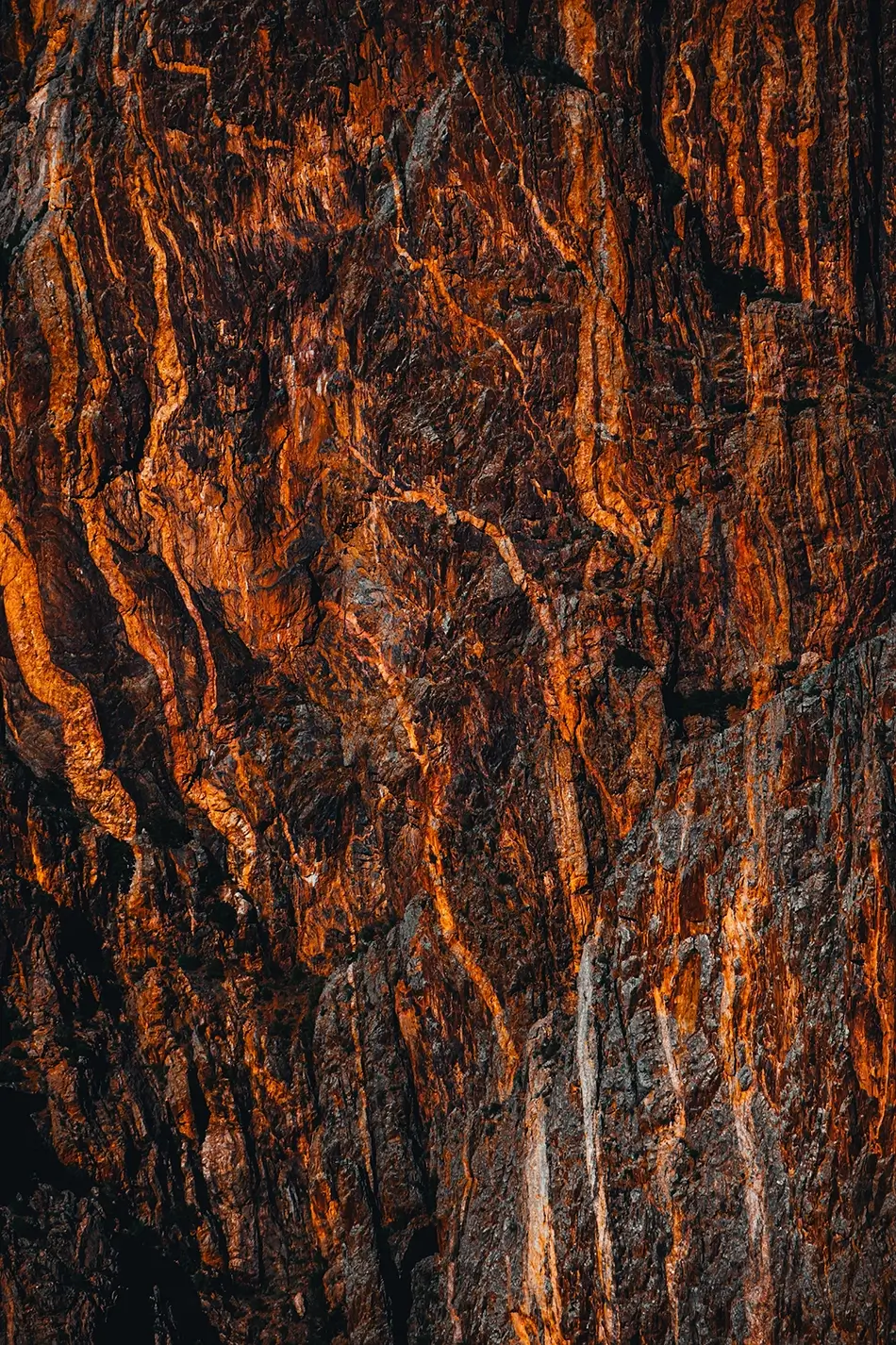 Black Canyon Of The Gunnison Jagged Orange Stone Veins, Montrose, Colorado · United States