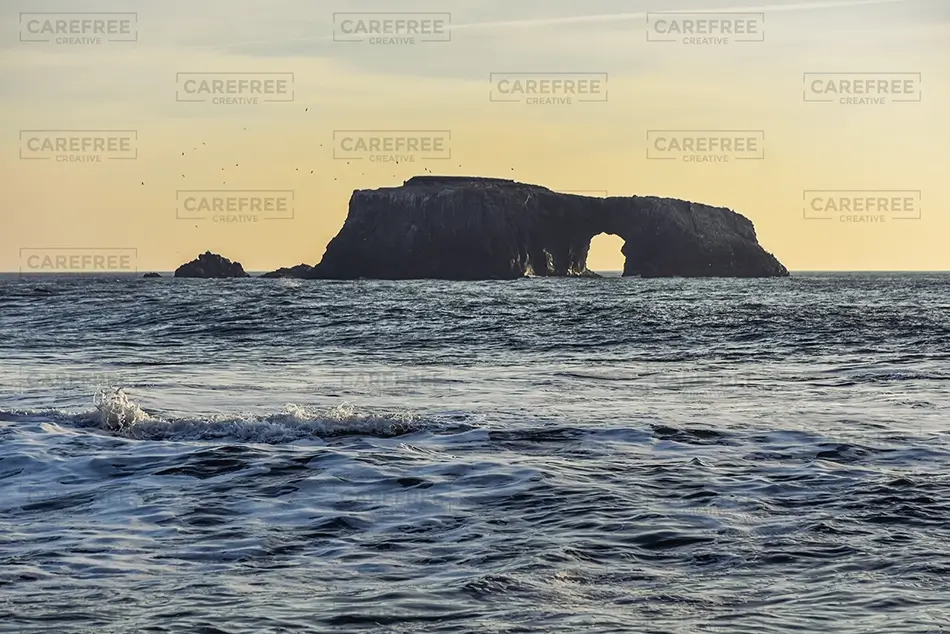 Blind Beach Rock Arch Island, Jenner, California · United States