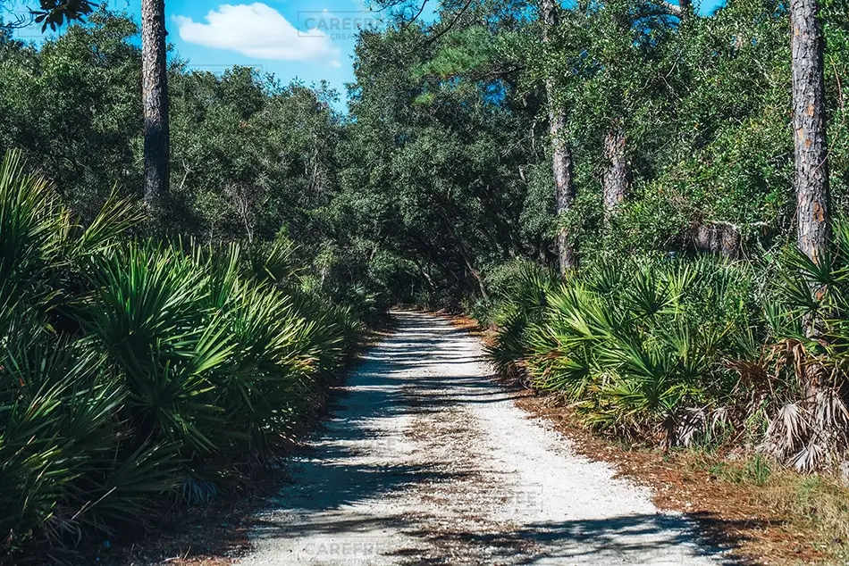 Bon Secour National Wildlife Refuge Sandy Trail Lined With Palmettos, Gulf Shores, Alabama · United States