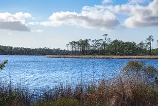 Bon Secour National Wildlife Refuge Grassy Marsh Shoreline View, Gulf Shores, Alabama