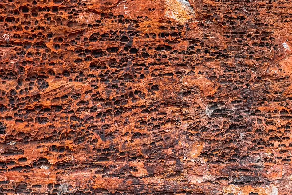 Boynton Canyon Weathered Red Sandstone, Sedona, Arizona · United States