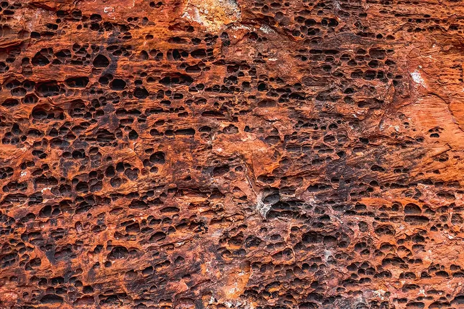 Boynton Canyon Honeycomb Sandstone Texture, Sedona, Arizona · United States