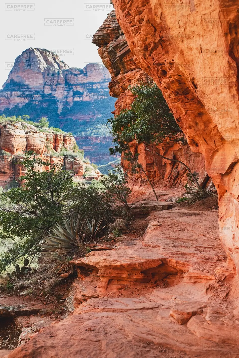 Boynton Canyon Red Rock Ledge Trail, Sedona, Arizona · United States