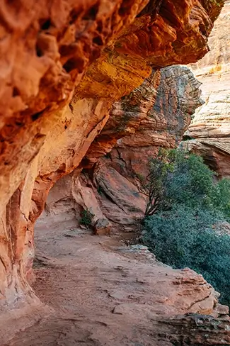 Boynton Canyon Red Rock Overhang, Sedona, Arizona