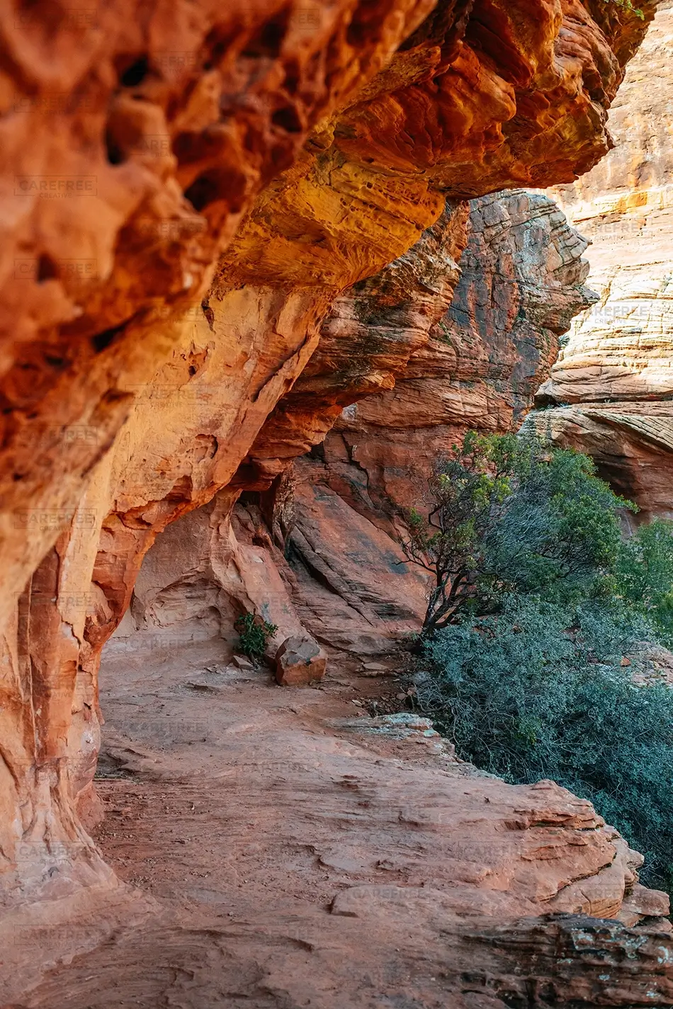 Boynton Canyon Red Rock Overhang, Sedona, Arizona · United States