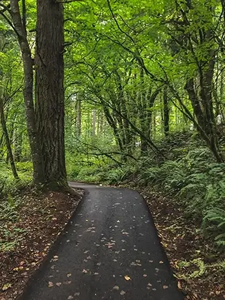 Bridal Veil Falls Lush Forest Trail, Bridal Veil, Oregon