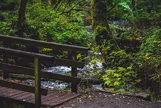 Bridal Veil Falls Forested Footbridge, Bridal Veil, Oregon