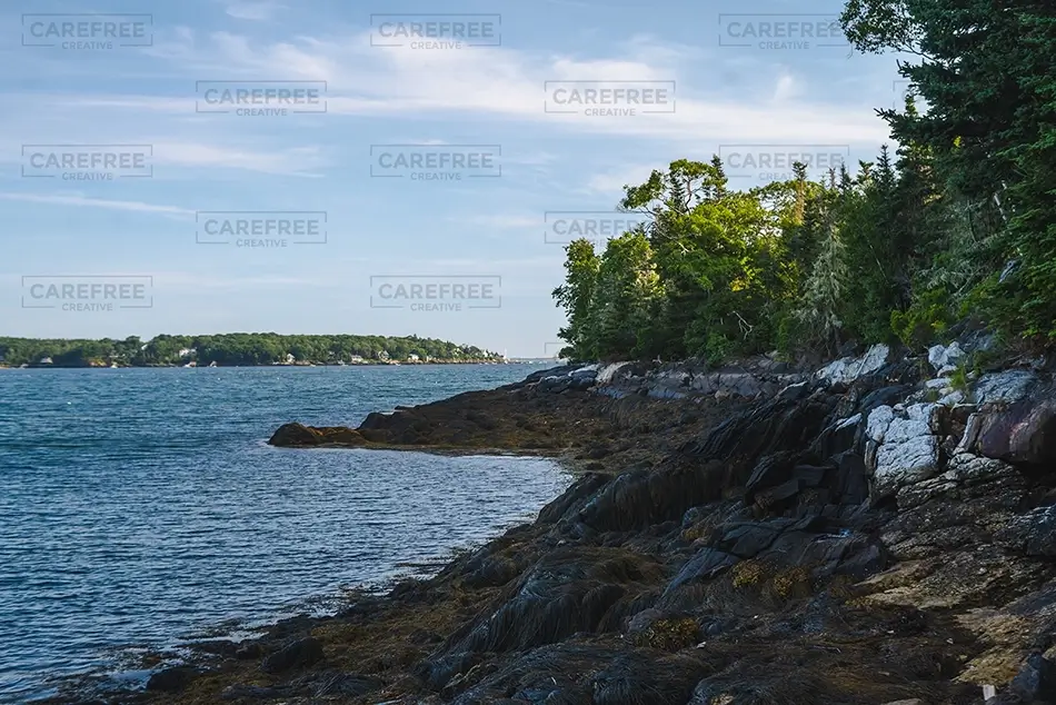 Cabbage Island Rocky Forested Shore, Boothbay, Maine · United States