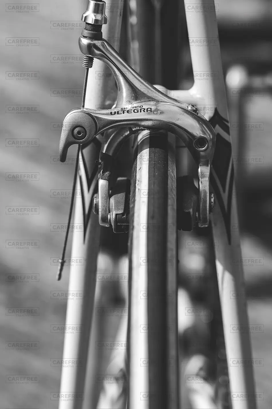 Cabbage Island Shimano Ultegra Brake, Boothbay, Maine · United States