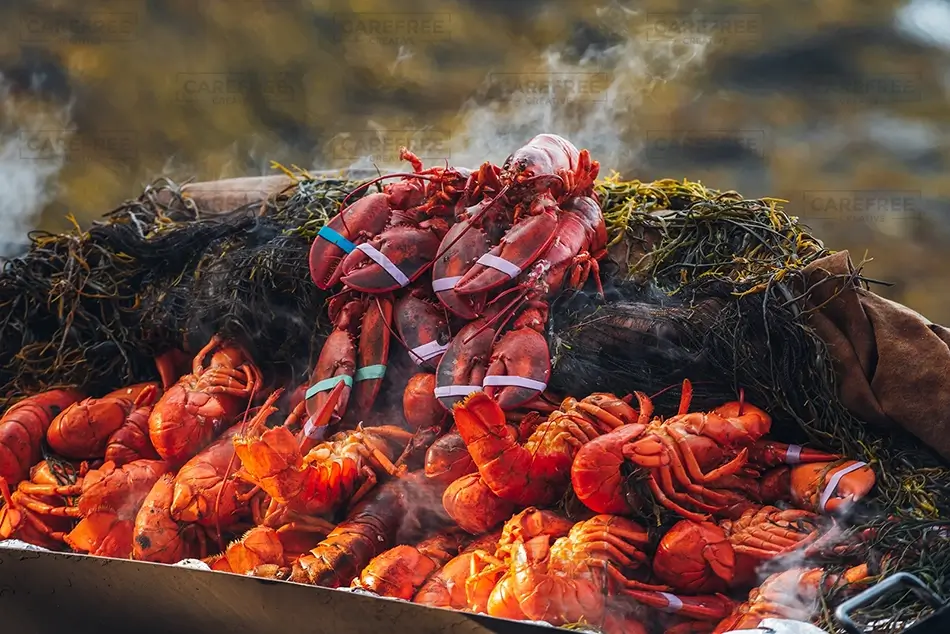 Cabbage Island Steaming Lobster Bake, Boothbay, Maine · United States