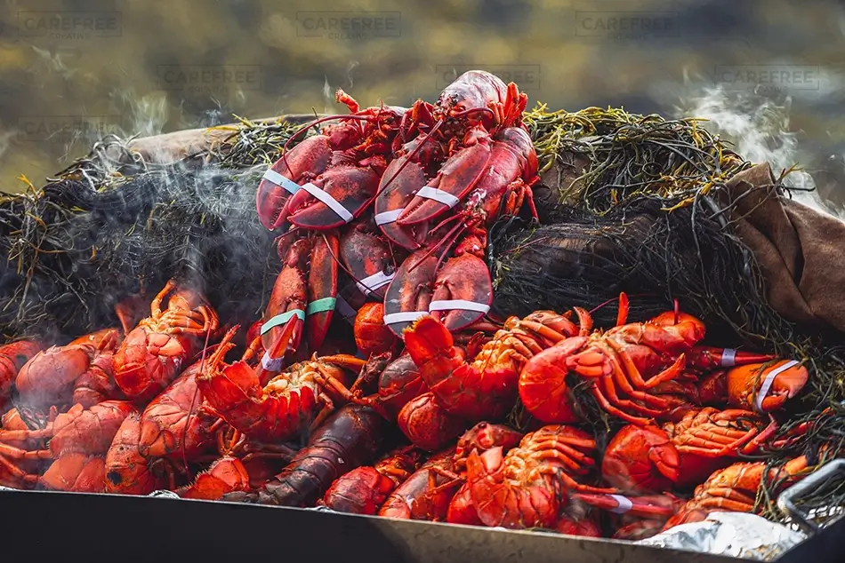 Cabbage Island Steaming Cooked Lobsters, Boothbay, Maine · United States