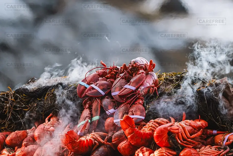 Cabbage Island Steaming Fresh Lobsters, Boothbay, Maine · United States