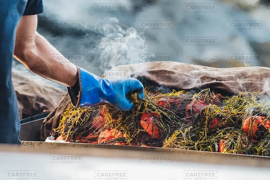 Cabbage Island Steaming Lobster Bake, Boothbay, Maine · United States